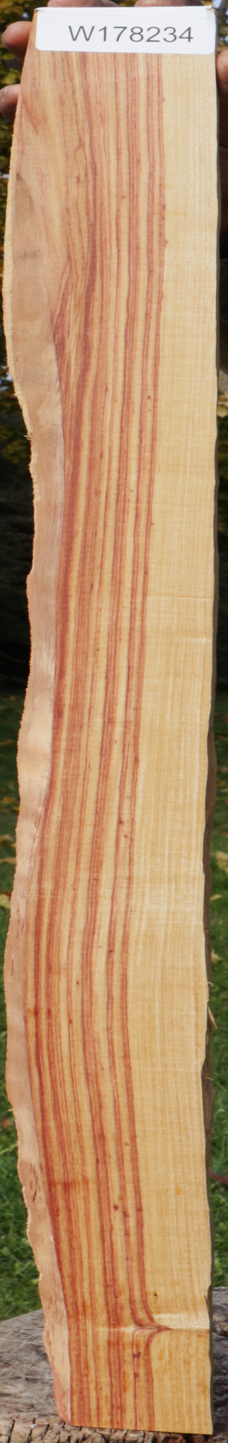 Live Edge Tulipwood Lumber