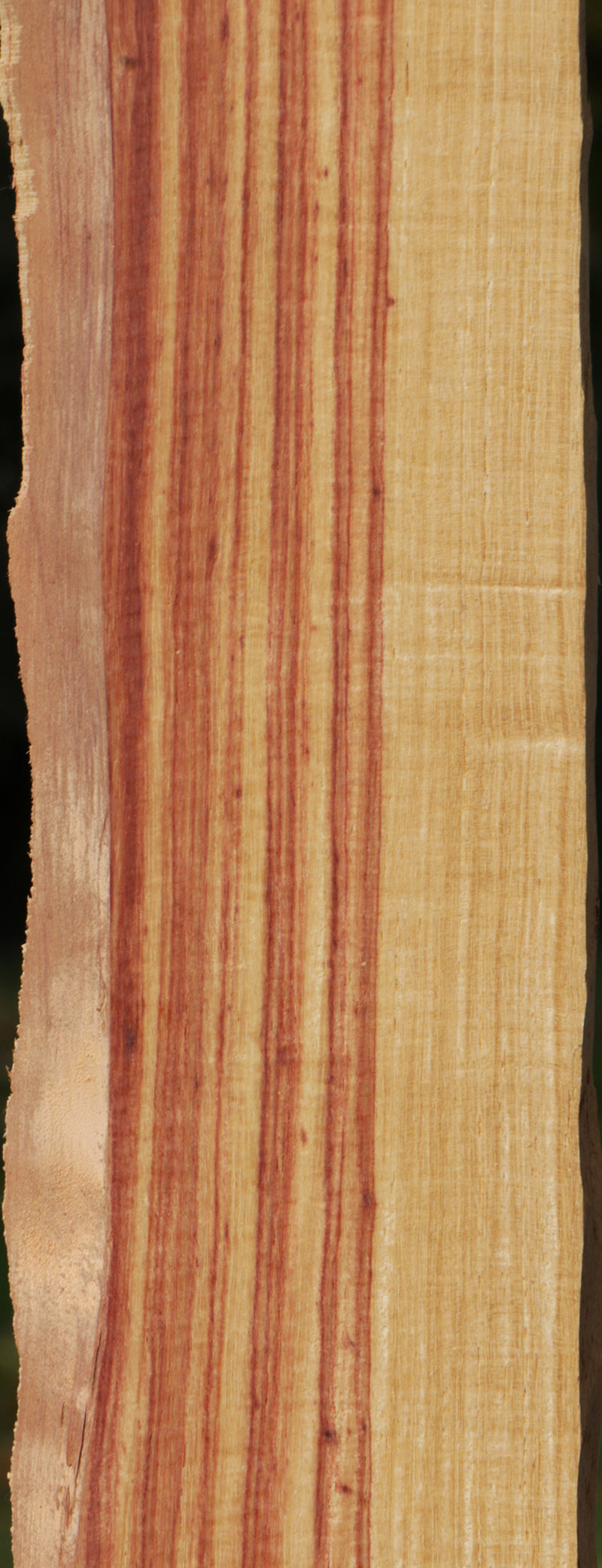 Live Edge Tulipwood Lumber