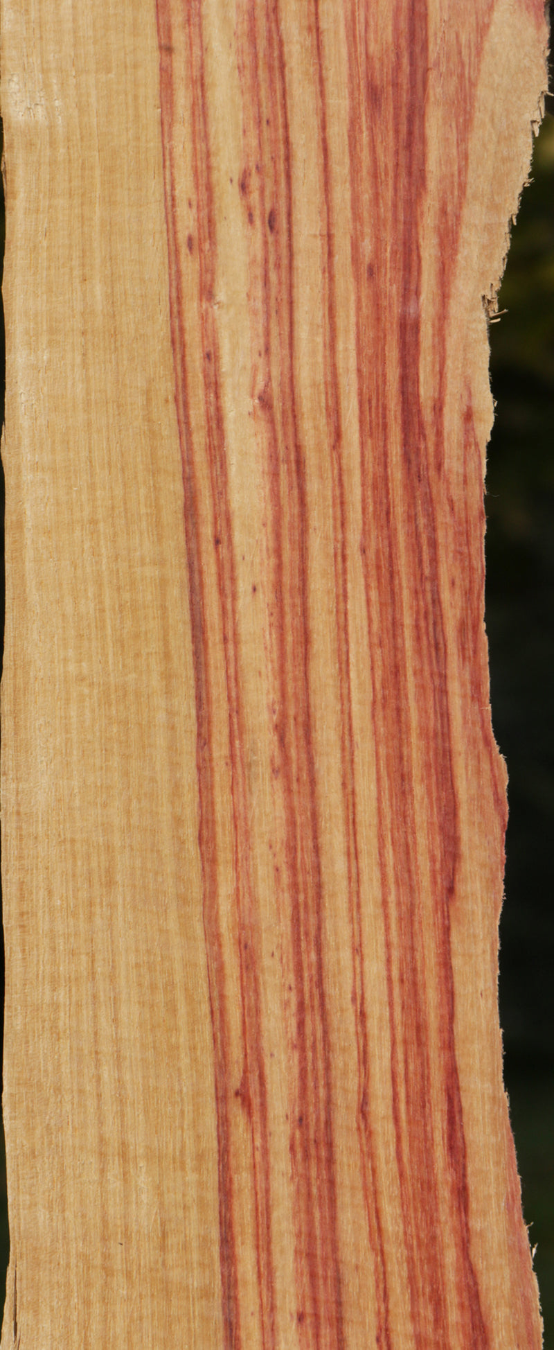 Live Edge Tulipwood Lumber