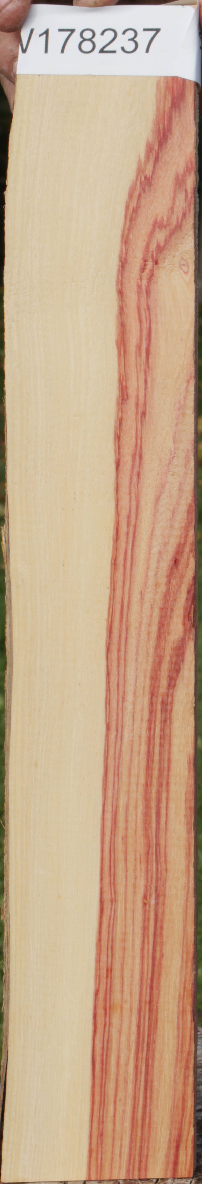 Tulipwood Micro Lumber