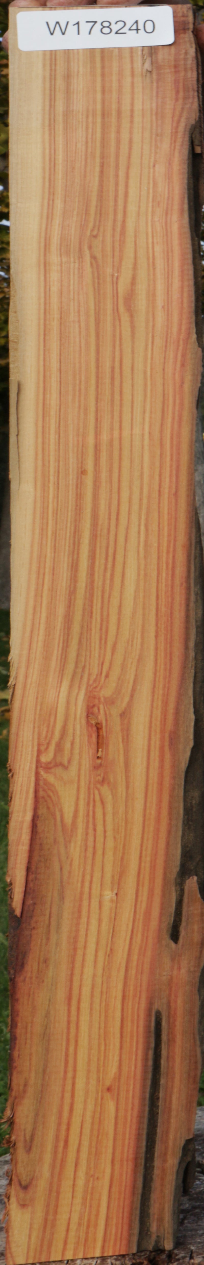 Tulipwood Lumber