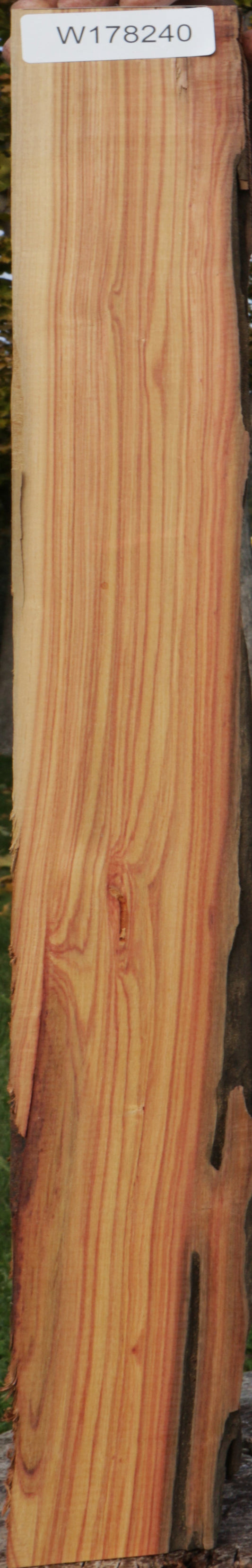Tulipwood Lumber