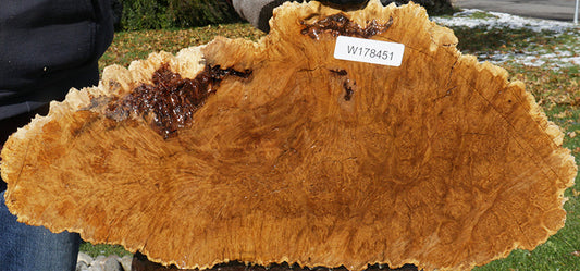 Gold Mallee Burl Cap