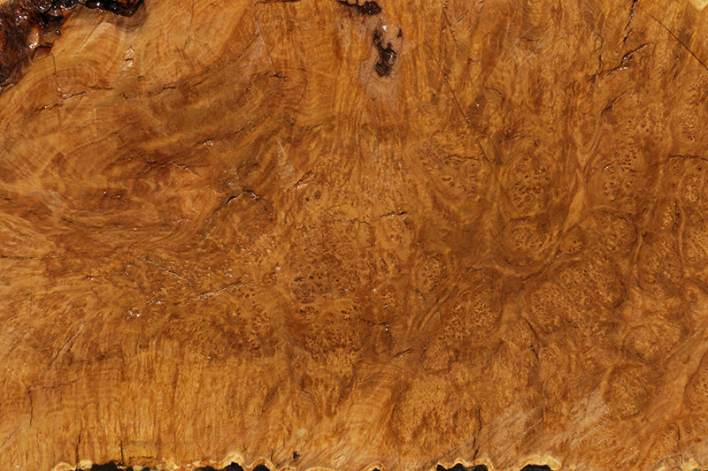 Gold Mallee Burl Cap