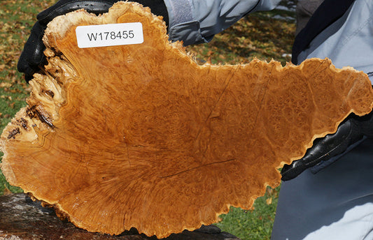 Gold Mallee Burl Cap