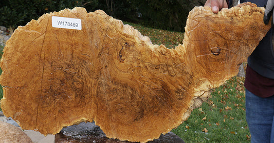 Gold Mallee Burl Cap