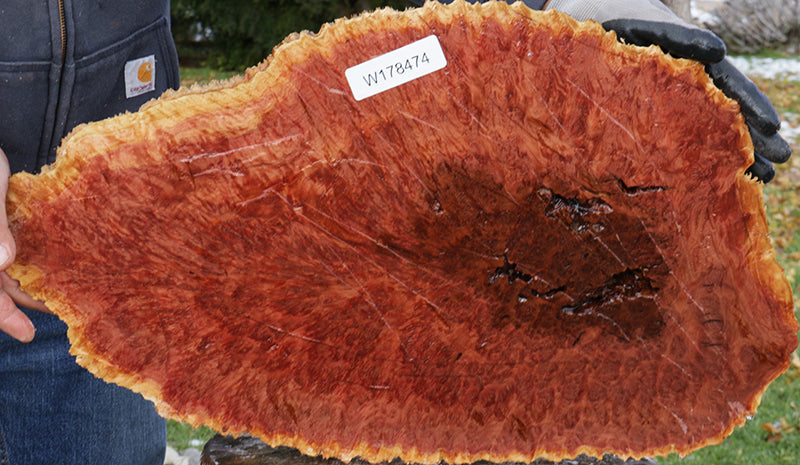 Red Coolibah Burl Cap