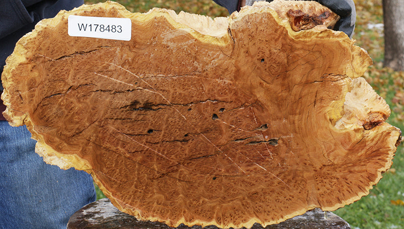 Gold Mallee Burl Cap