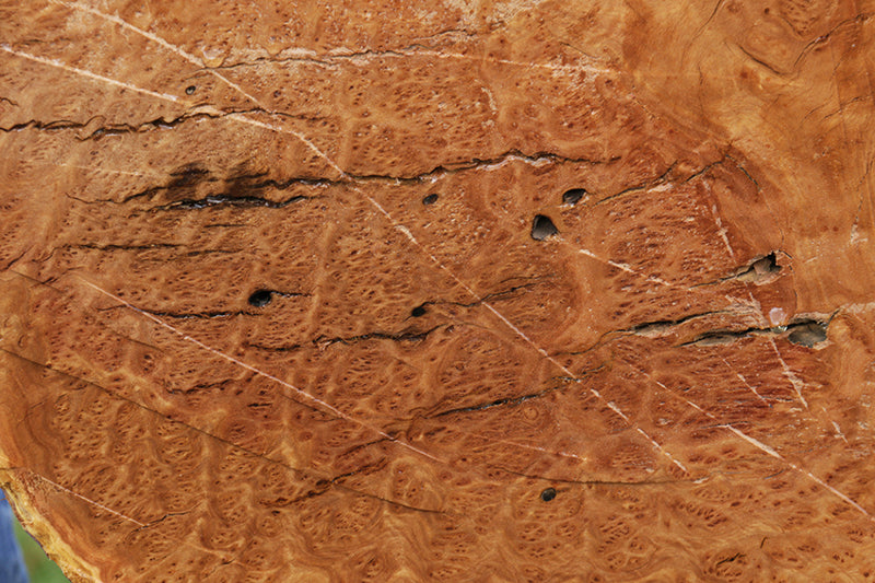 Gold Mallee Burl Cap