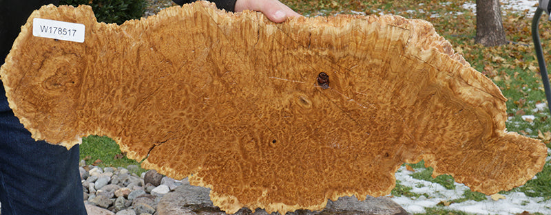 Gold Mallee Burl Cap