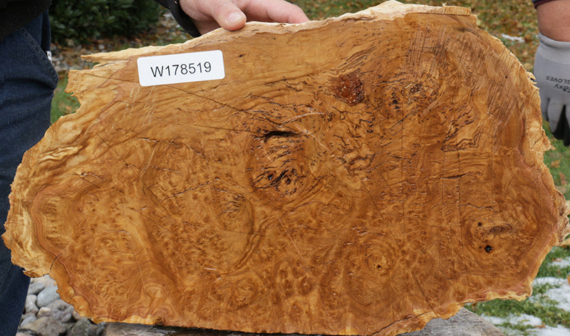 Extra Fancy Gold Mallee Burl Cap