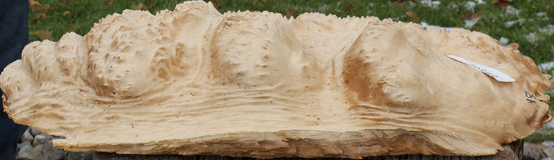 Extra Fancy Gold Mallee Burl Cap