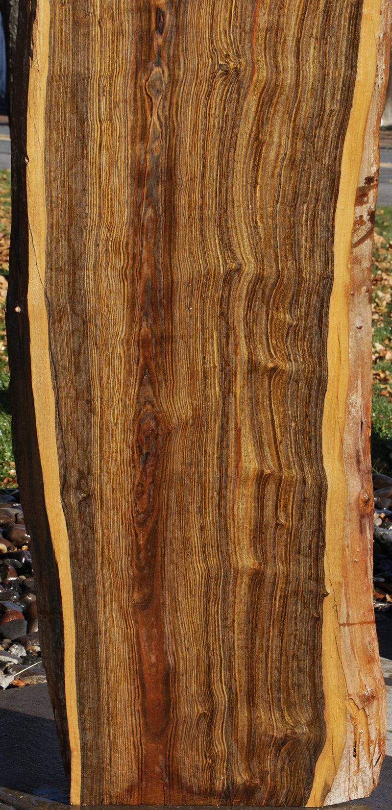 Extra Fancy Rustic Live Edge Bocote Lumber (Freight Shipping Required)