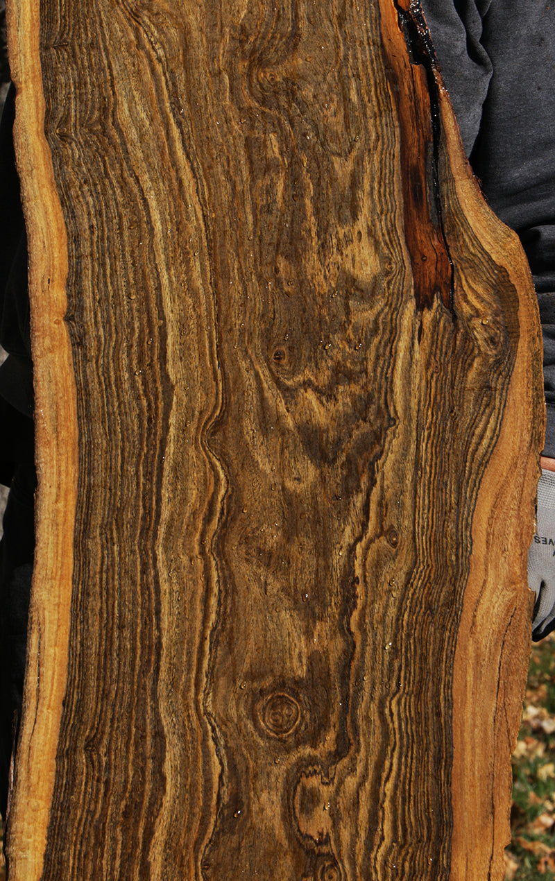 Extra Fancy Rustic Live Edge Bocote Lumber (Freight Shipping Required)