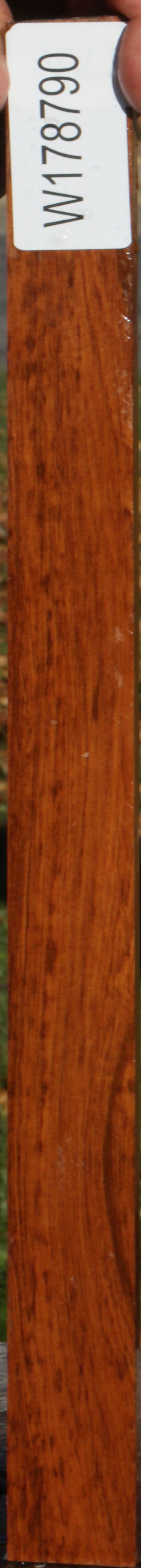 Snakewood Micro Lumber