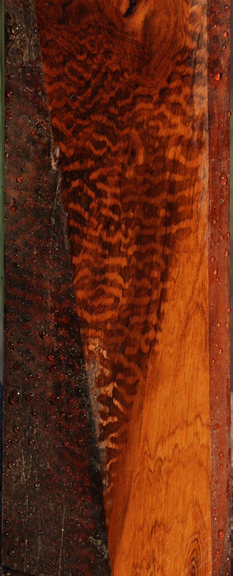 Snakewood Lumber