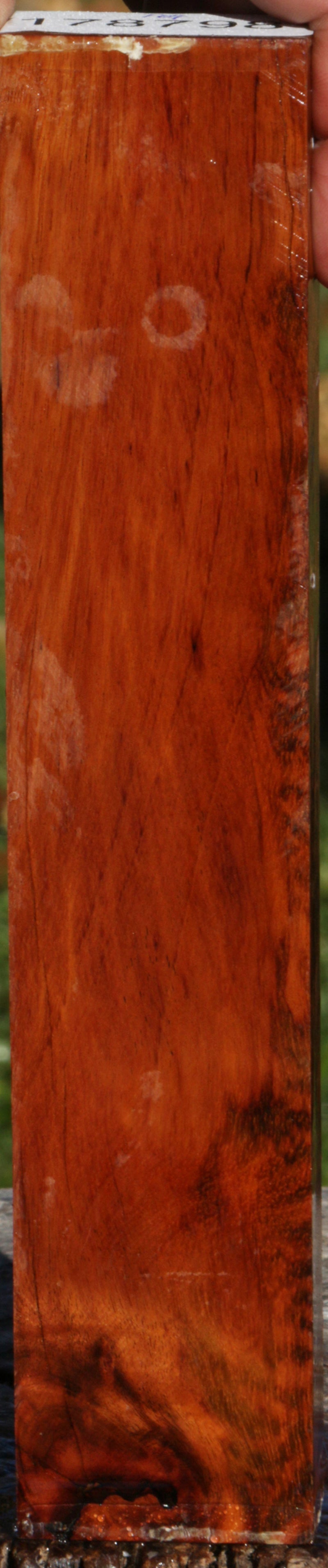 Snakewood Lumber