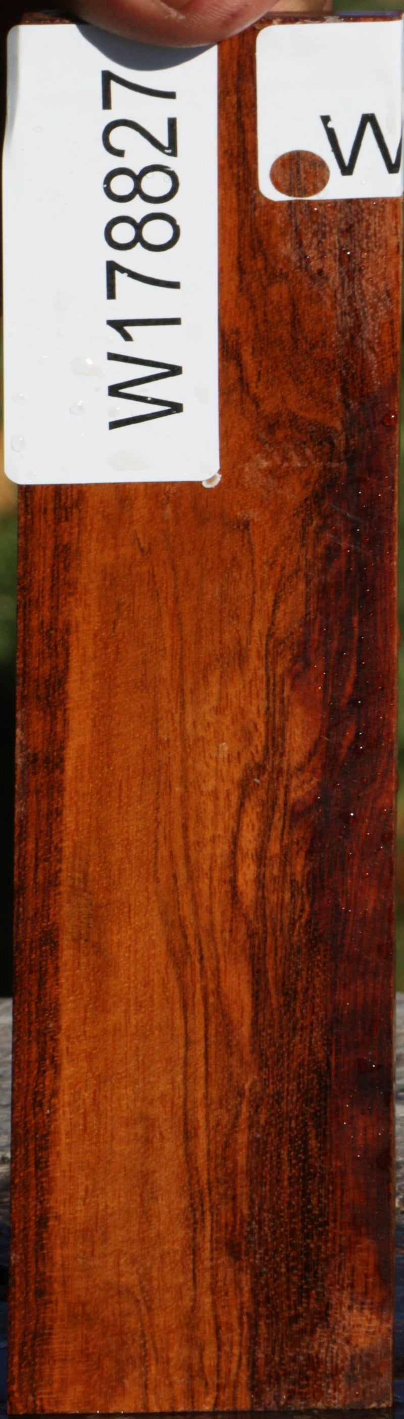 Snakewood Micro Lumber
