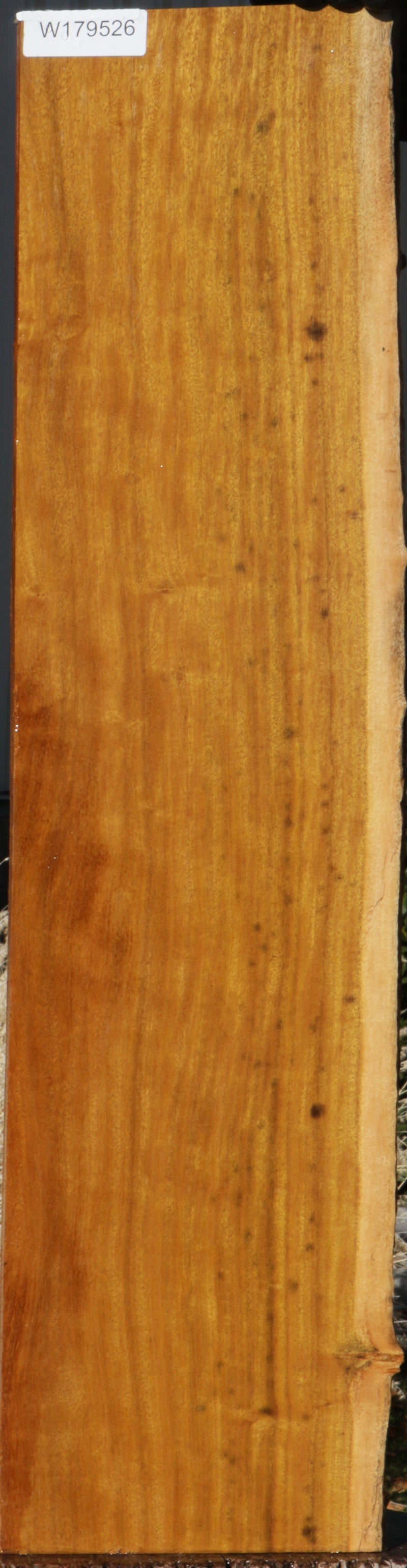 Piquiarana Live Edge Micro Lumber