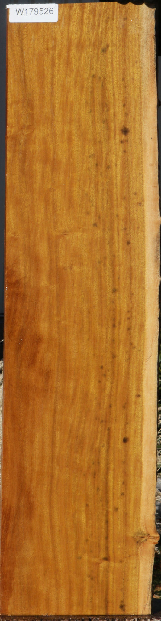 Piquiarana Live Edge Micro Lumber