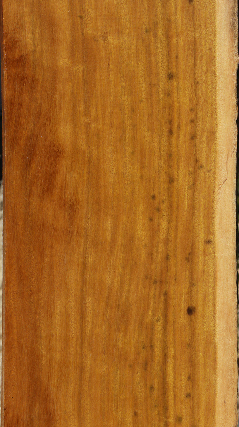 Piquiarana Live Edge Micro Lumber