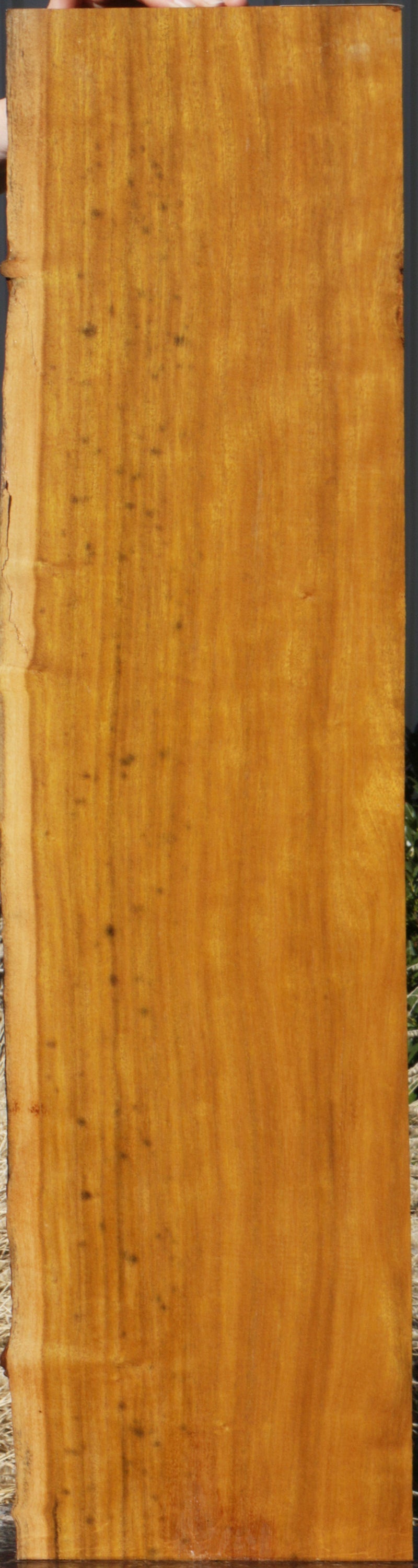 Piquiarana Live Edge Micro Lumber