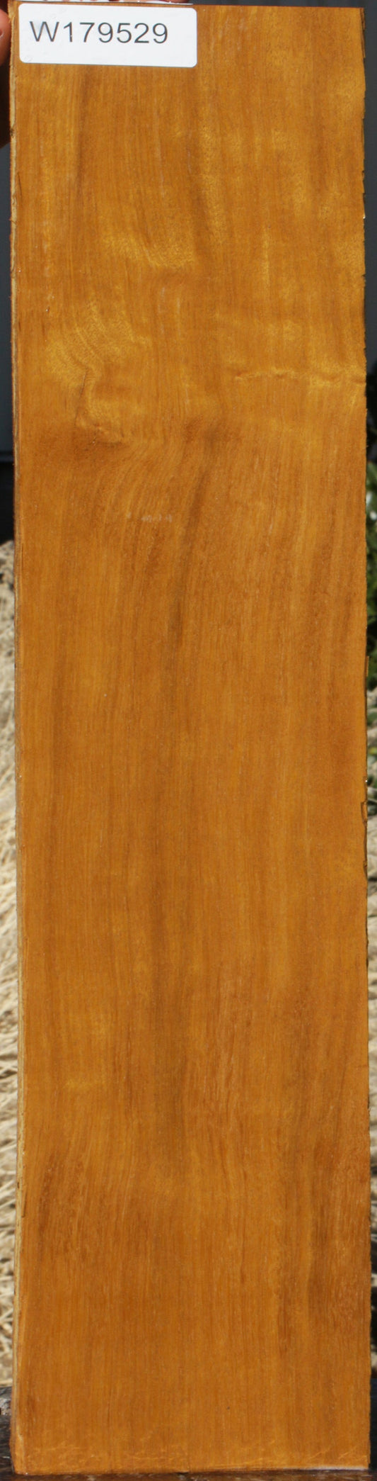 Piquiarana Micro Lumber