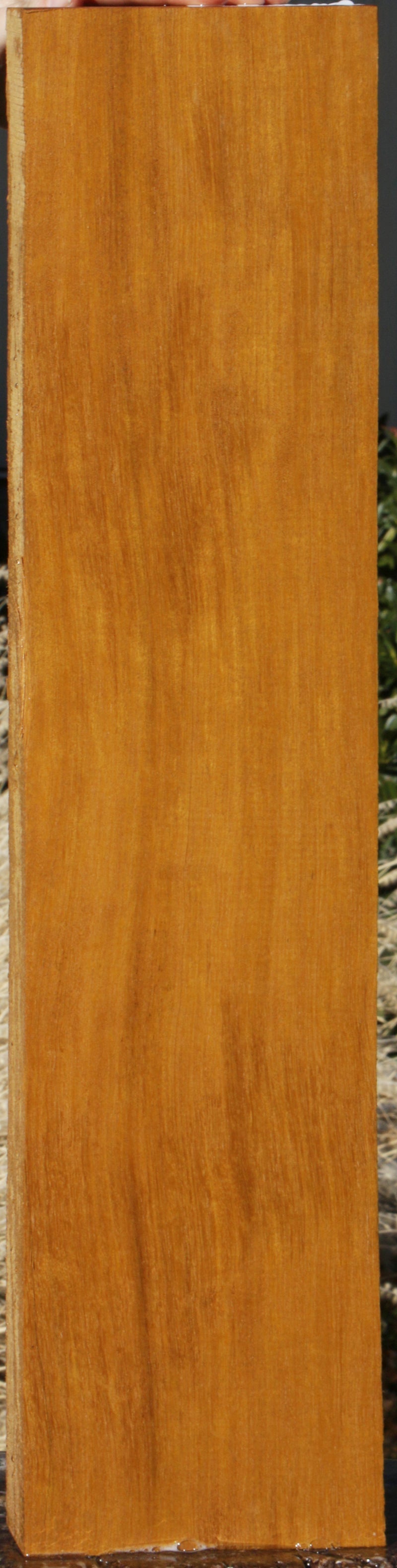 Piquiarana Micro Lumber