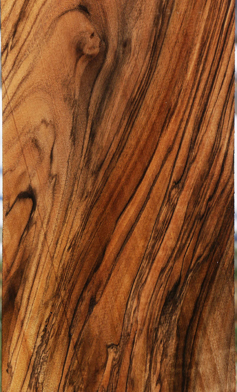 Exhibition Marblecake English Walnut Lumber