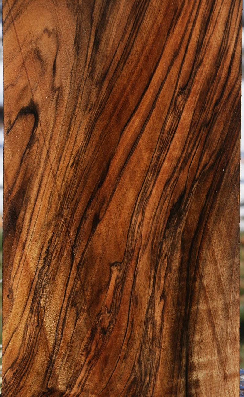 Exhibition Marblecake English Walnut Lumber
