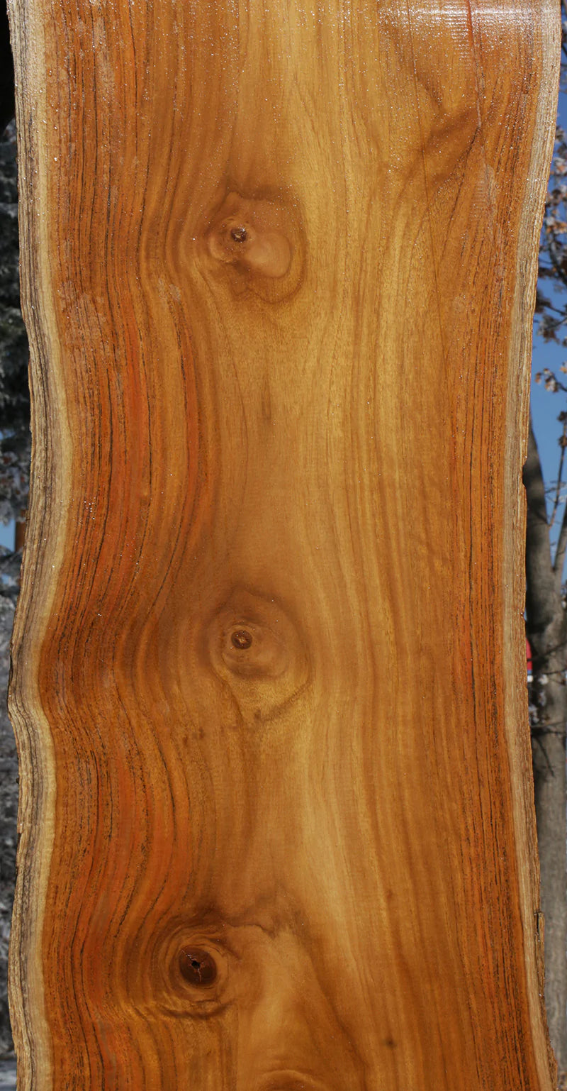 Genuine Teak Live Edge Slab (Freight Shipping Required)