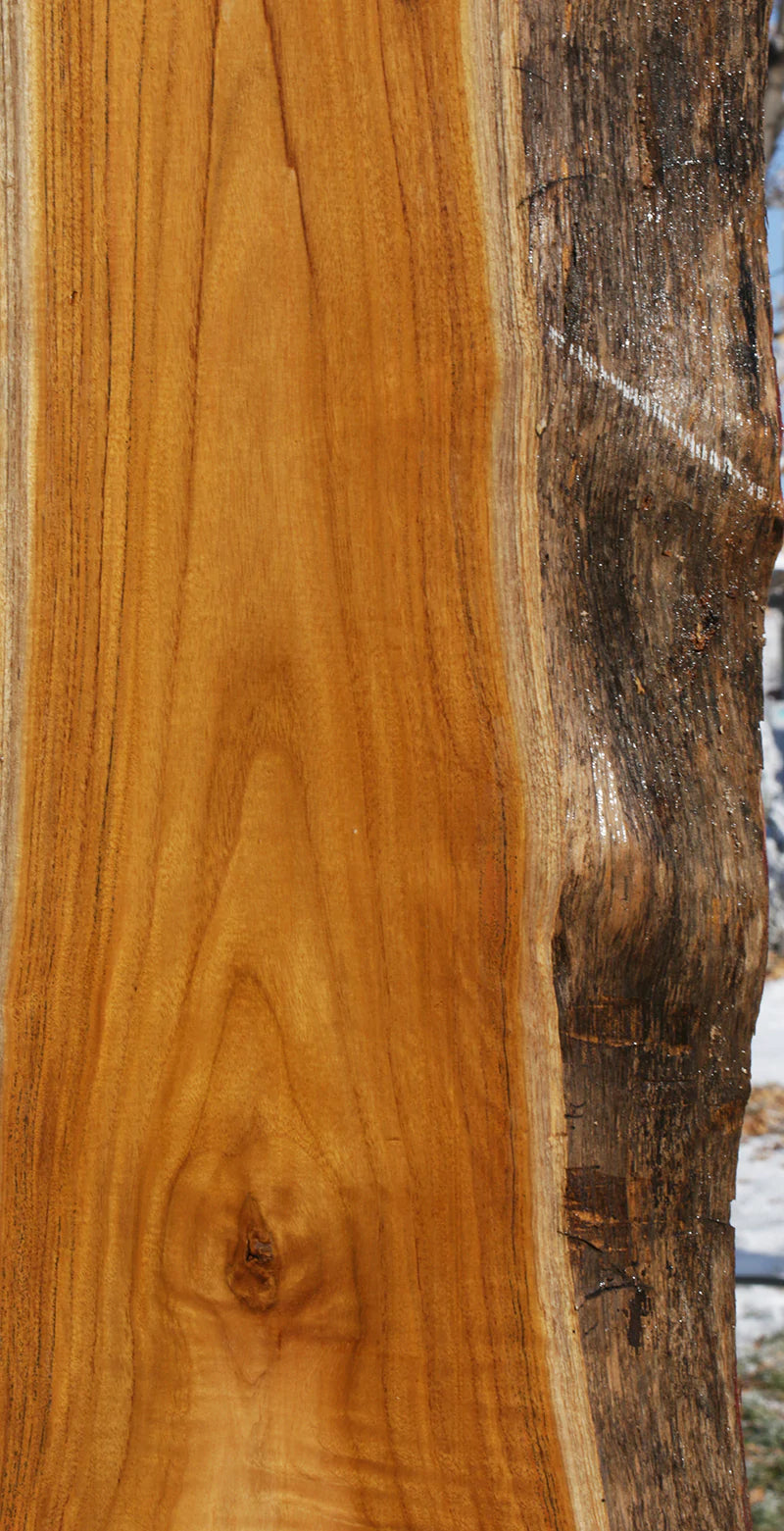 Genuine Teak Live Edge Slab (Freight Shipping Required)