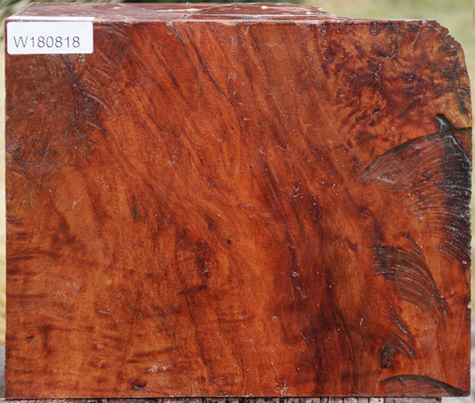 Rambutan Live Edge Bowl Blank