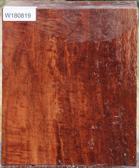 Fiddleback Rambutan Bowl Blank