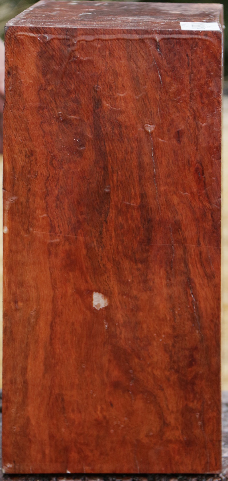 Fiddleback Rambutan Bowl Blank