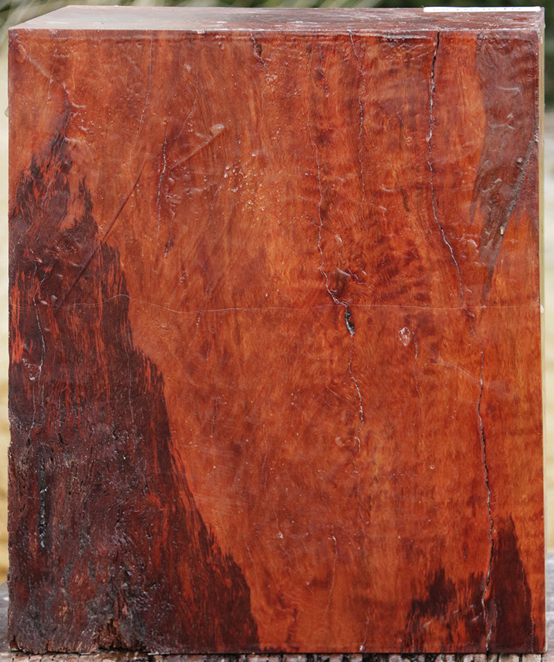 Fiddleback Rambutan Bowl Blank