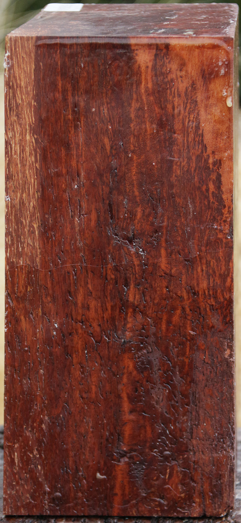 Fiddleback Rambutan Bowl Blank