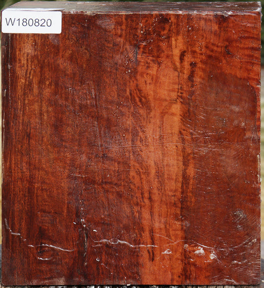 Extra Fancy Fiddleback Rambutan Bowl Blank