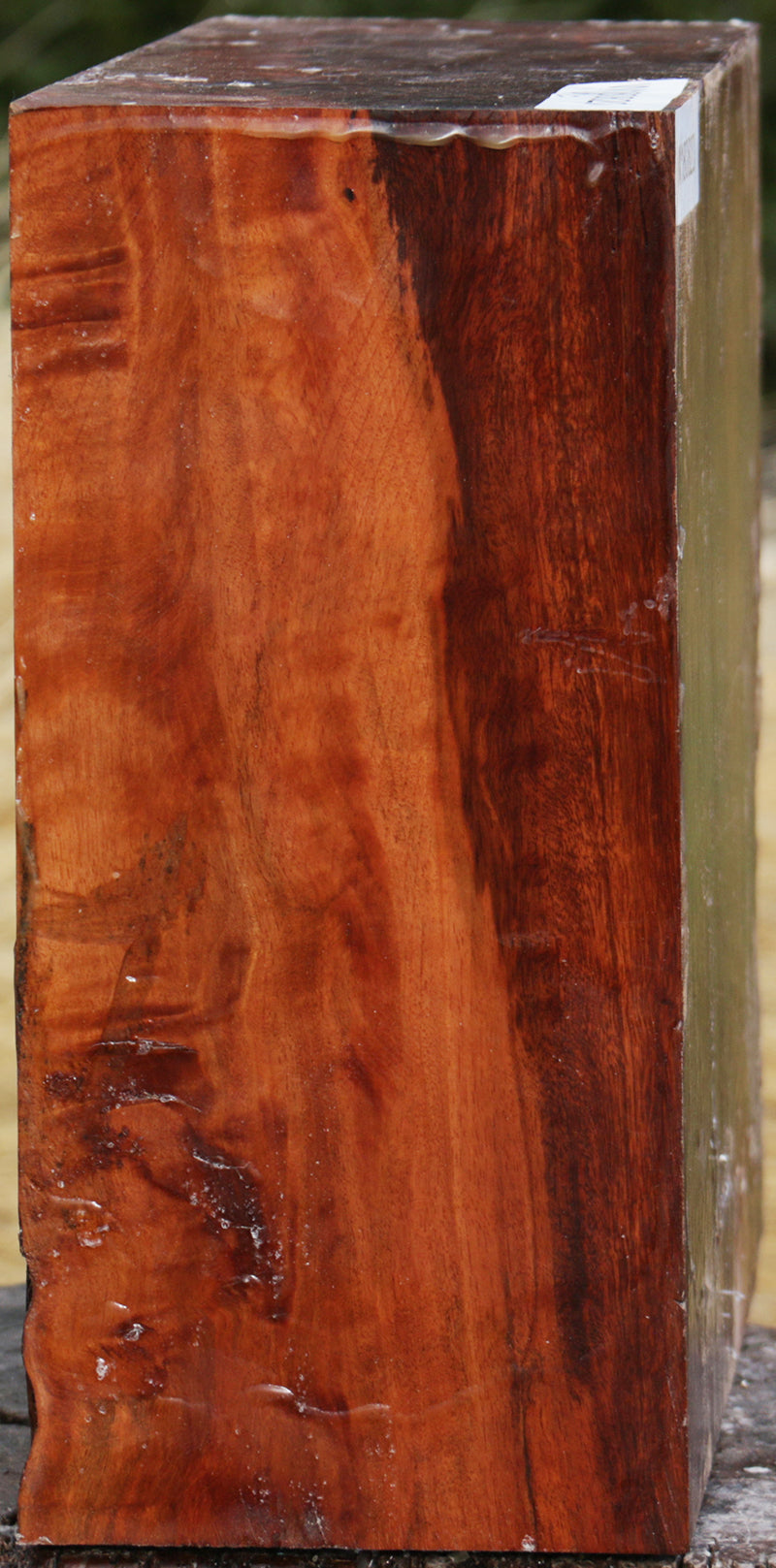 Extra Fancy Fiddleback Rambutan Bowl Blank