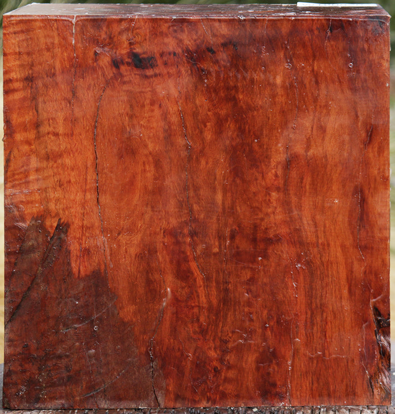 Extra Fancy Fiddleback Rambutan Bowl Blank