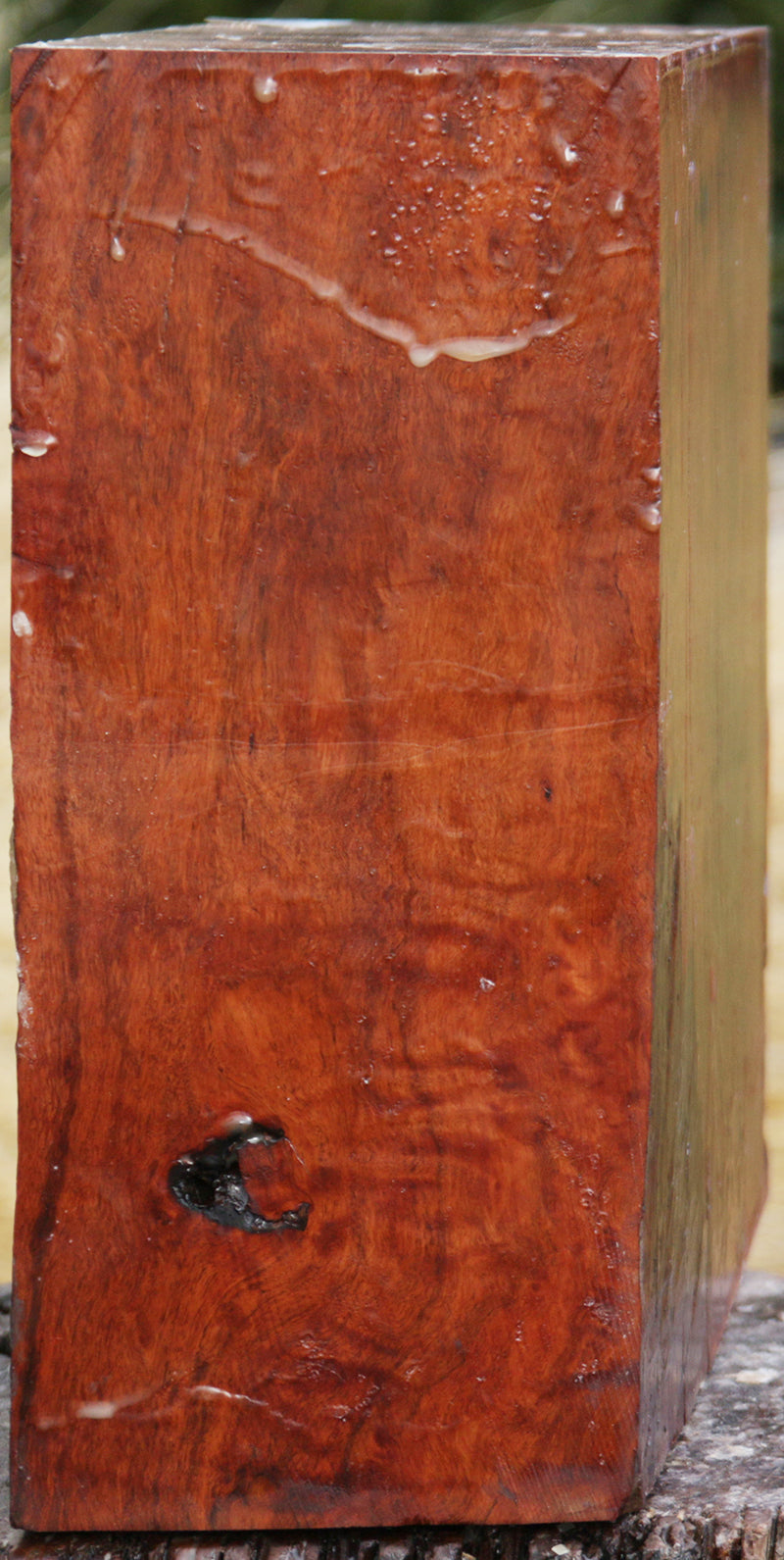 Extra Fancy Fiddleback Rambutan Bowl Blank