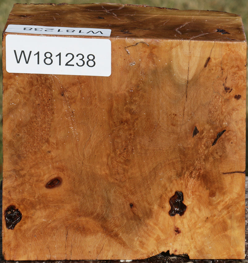 Extra Fancy Kanista Live Edge Bowl Blank