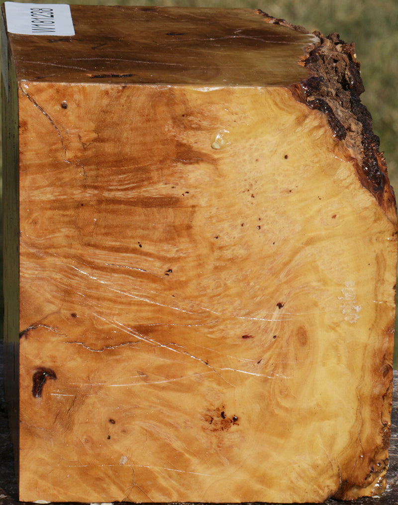 Extra Fancy Kanista Live Edge Bowl Blank