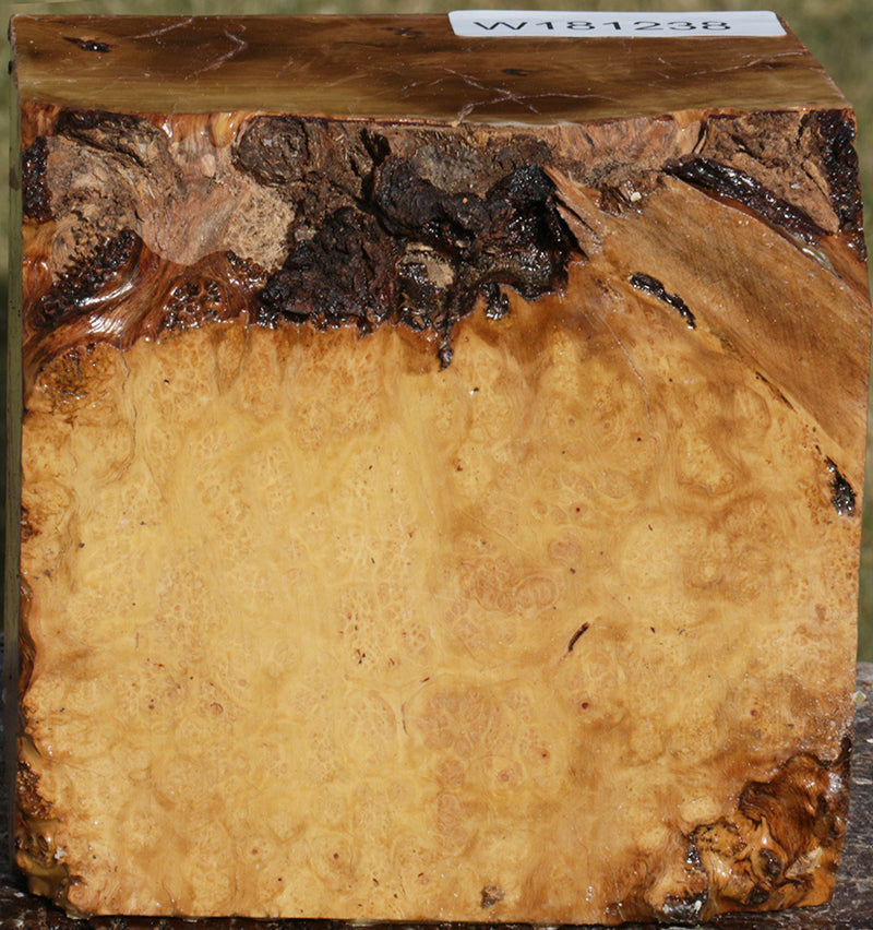 Extra Fancy Kanista Live Edge Bowl Blank