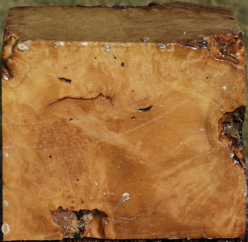 Extra Fancy Kanista Live Edge Bowl Blank