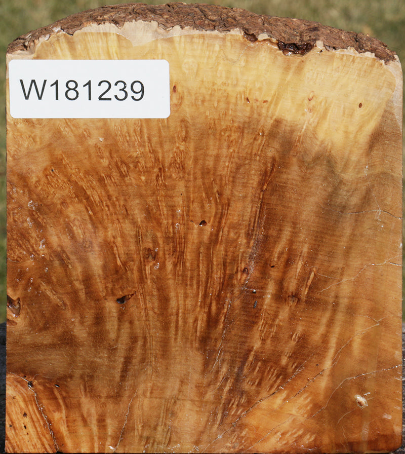 Extra Fancy Kanista Live Edge Bowl Blank