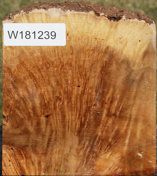 Extra Fancy Kanista Live Edge Bowl Blank