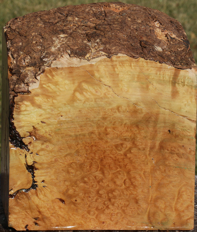 Extra Fancy Kanista Live Edge Bowl Blank