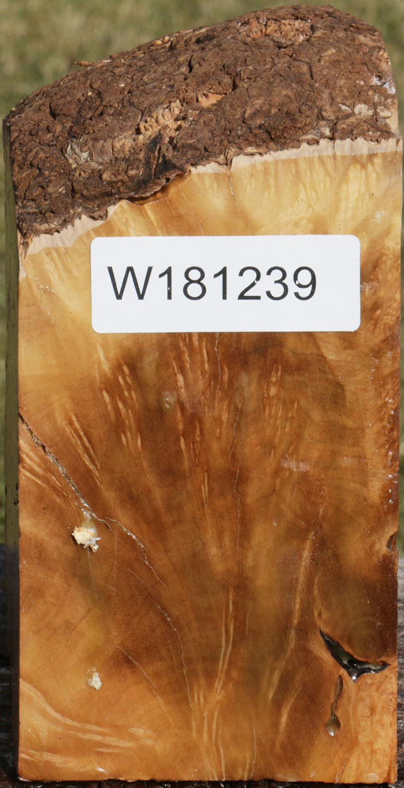 Extra Fancy Kanista Live Edge Bowl Blank