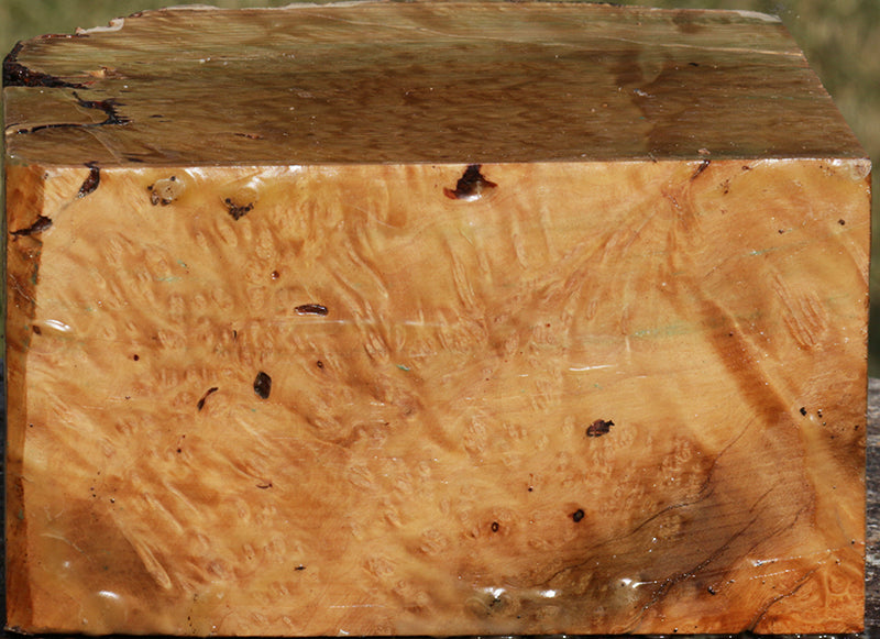 Extra Fancy Kanista Live Edge Bowl Blank